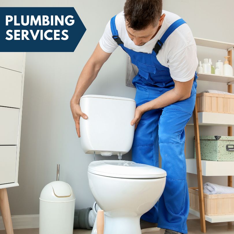 Plumbing Company in Hemlock, NY